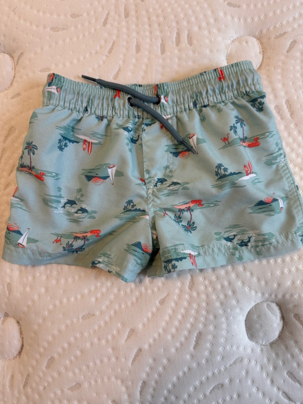 Carter's Light Teal Swim Shorts with Red Surf Accents